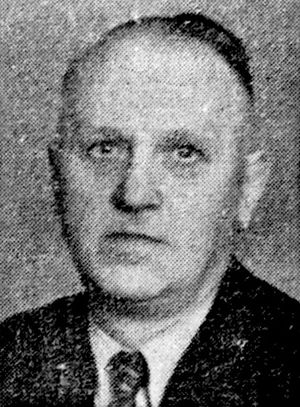 Theodor Werner