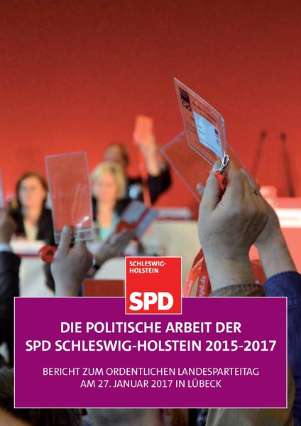 Datei:Rechenschaftsbericht 2015-2017.pdf